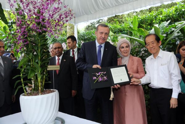 Erdoğan çiftine büyük jest!