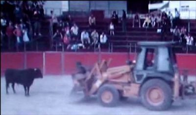 Boğaya bulldozerli işkence