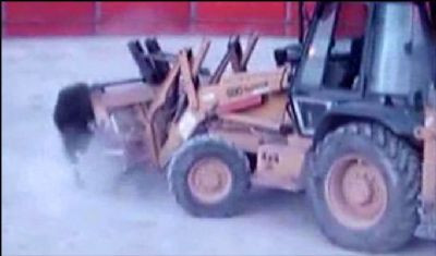 Boğaya bulldozerli işkence