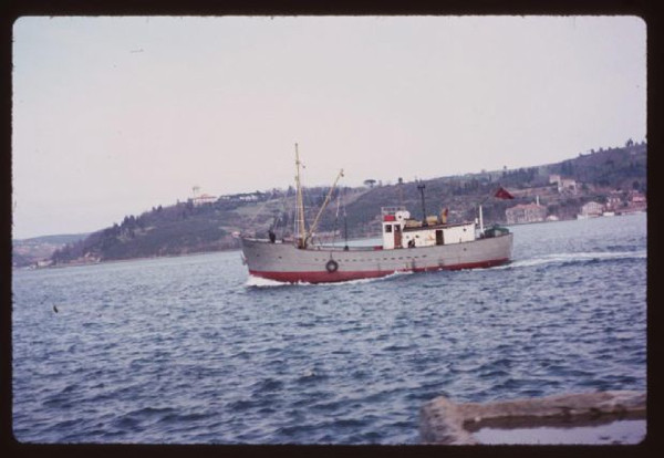 1965in İstanbulunda gezin