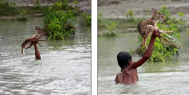 Ölümüne kurtarma! İşte insanlığın fotoğrafı
