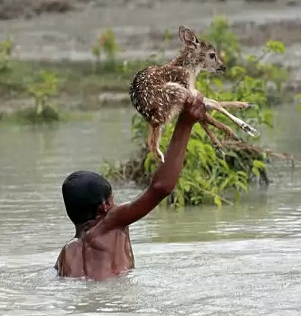Ölümüne kurtarma! İşte insanlığın fotoğrafı