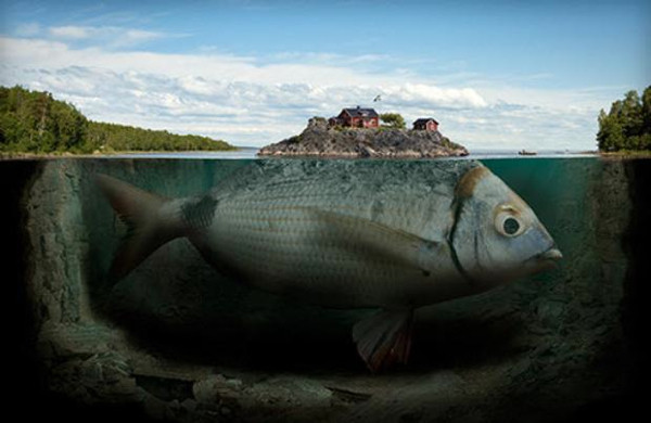 Erik Johanssonın imkansız fotoğrafları