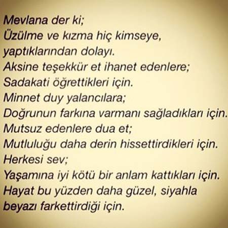 Daha fazla dayanamadılar