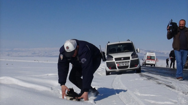 Polis ördek topladı