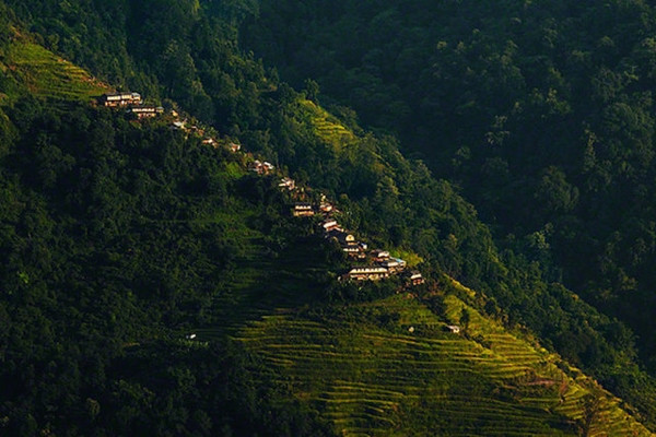 Dünyanın en zor mesleği