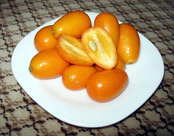 Sağlığın küçük mücevheri 'Kamkat'