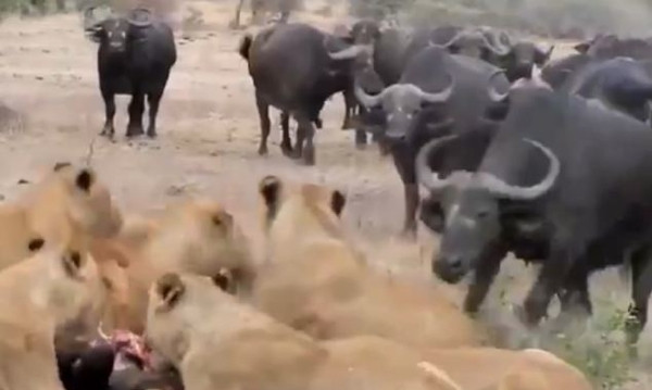 Bu defa kim kazandı?