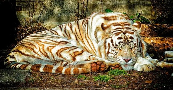 En çok paylaşılan fotoğraflar!