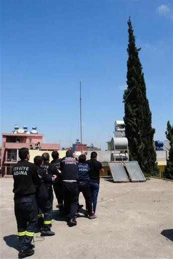 Adana'da kedi kurtarma operasyonu