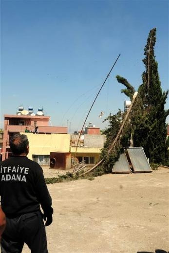 Adana'da kedi kurtarma operasyonu