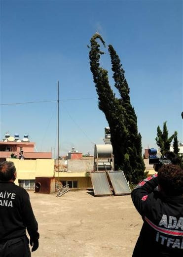 Adana'da kedi kurtarma operasyonu