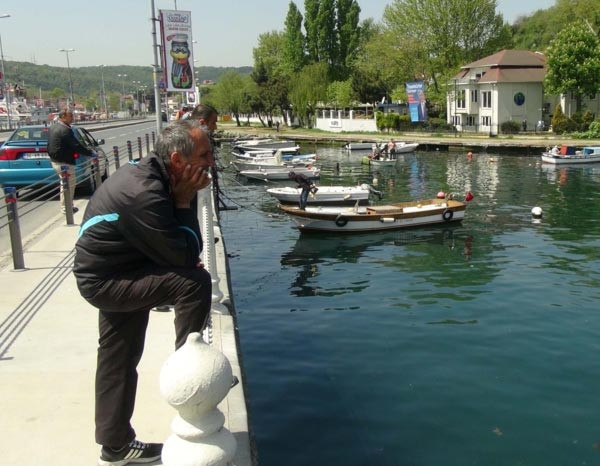Yavru yunus seferberliği