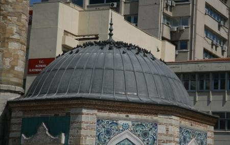 Camide güvercin tedbiri