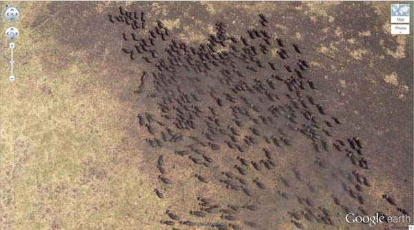 Google Earth'teki en sıradışı 29 yer
