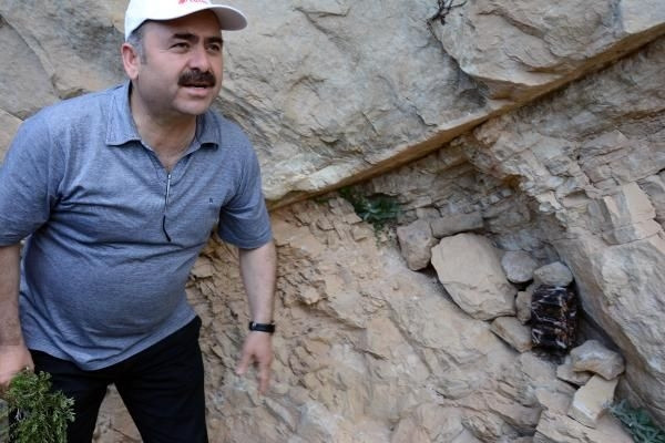 O bölgede bakın neler varmış...