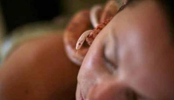 Dev pitonlarla spa...