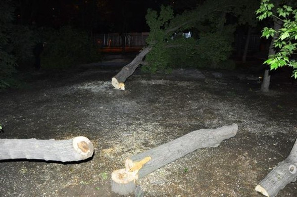 Şimdi de Amasya ayakta