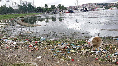 Haliç'i fareler bastı