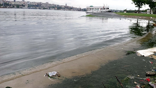 Haliç'i fareler bastı