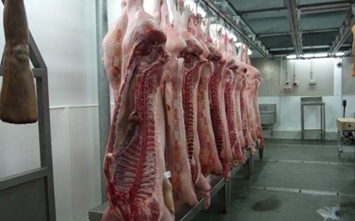 İnsan eti satan kasap! Haber3