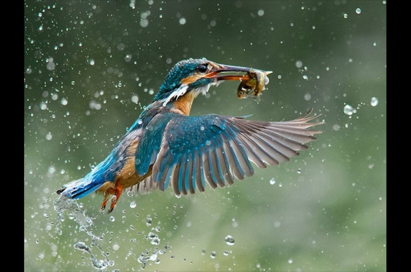 Bu fotoğraflar ödüllü