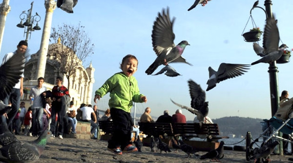 Yaz aylarında beyninizi koruyacak 10 öneri