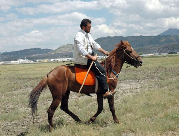 Yılkı at tutkusu