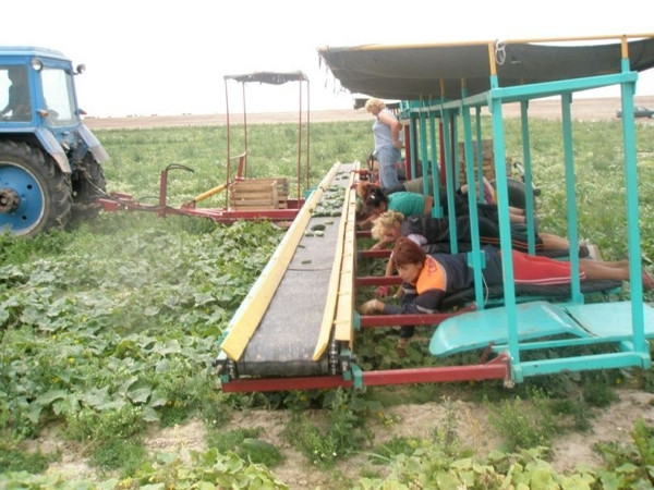 Yatarak para kazanma buna denir