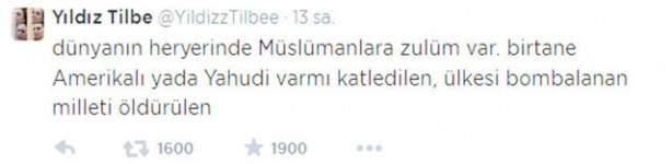 Yıldız Tilbe'nin ırkçı tweetlerine tepki yağdı