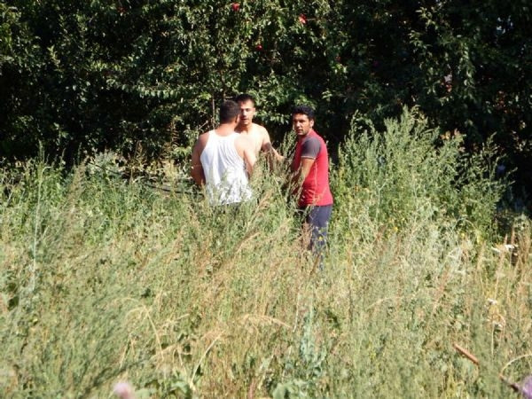 Romanlar'dan bonzai protestosu