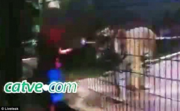 Hayvanat bahçesinde dehşet