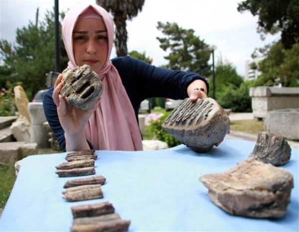 Samsun'da 2 milyon yıllık mamut fosili