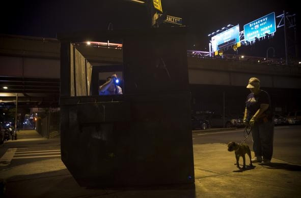 Çözüm köpekler