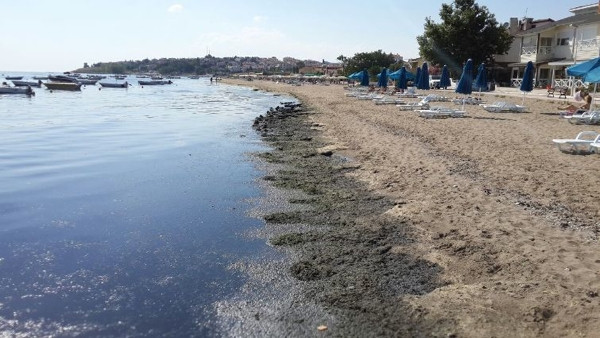 Selimpaşa Sahili'nde isyan ettiren görüntü