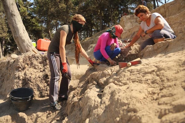 Yumuktepe'de 6500 yıllık saray bulundu