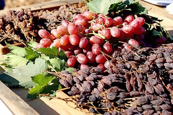 Kuru üzüm tek başına eczane gibi