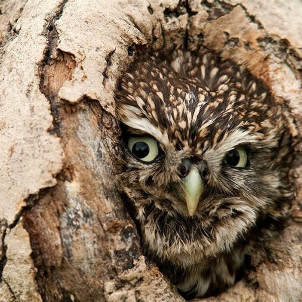 National Geographic Türkiye'nin en iyi fotoğrafları!