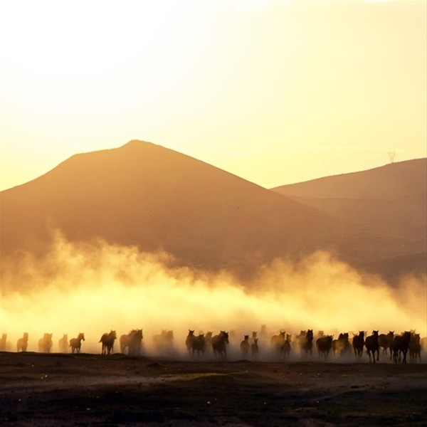 National Geographic Türkiye'nin en iyi fotoğrafları!