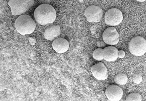 Curiosity'nin Mars'tan çektiği fotoğraflar