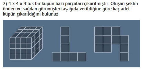 Türkiye Zeka Vakfı'nın çıldırtan soruları