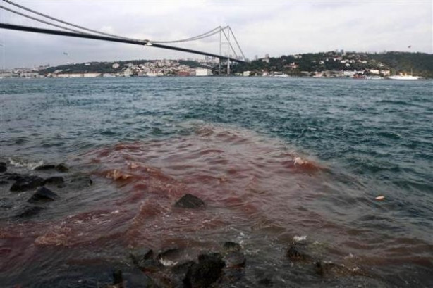 Boğaz kızıla büründü