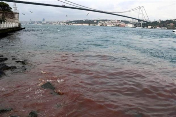 Boğaz kızıla büründü