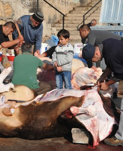 Türkiye'den Kurban Bayramı Fotoğrafları