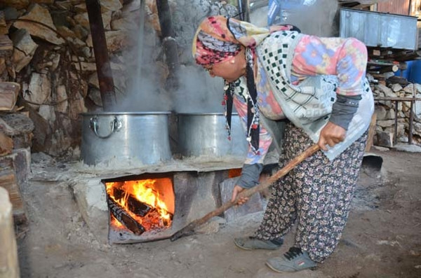 Kozalaktan gelen şifa: Andız pekmezi