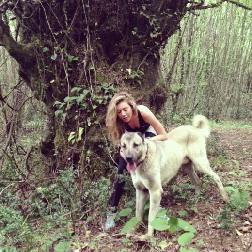 Sinem Kobal İbrahim Çelikkol el ele