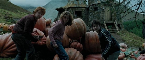 Harry Potter'da gizli seks sahnesi iddiası