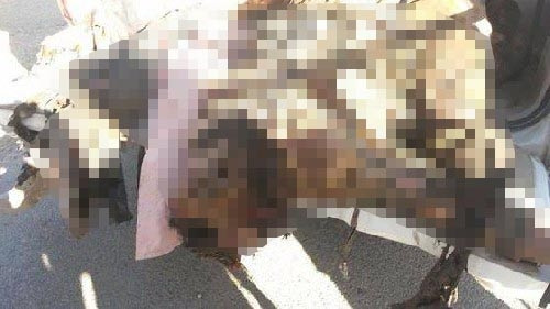 IŞİD katliamından kareler (+18)