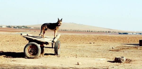 Çatışmalar 2 ayı geride bıraktı!