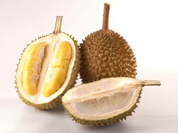 Vitamin ve güçlü antioksidan deposu
